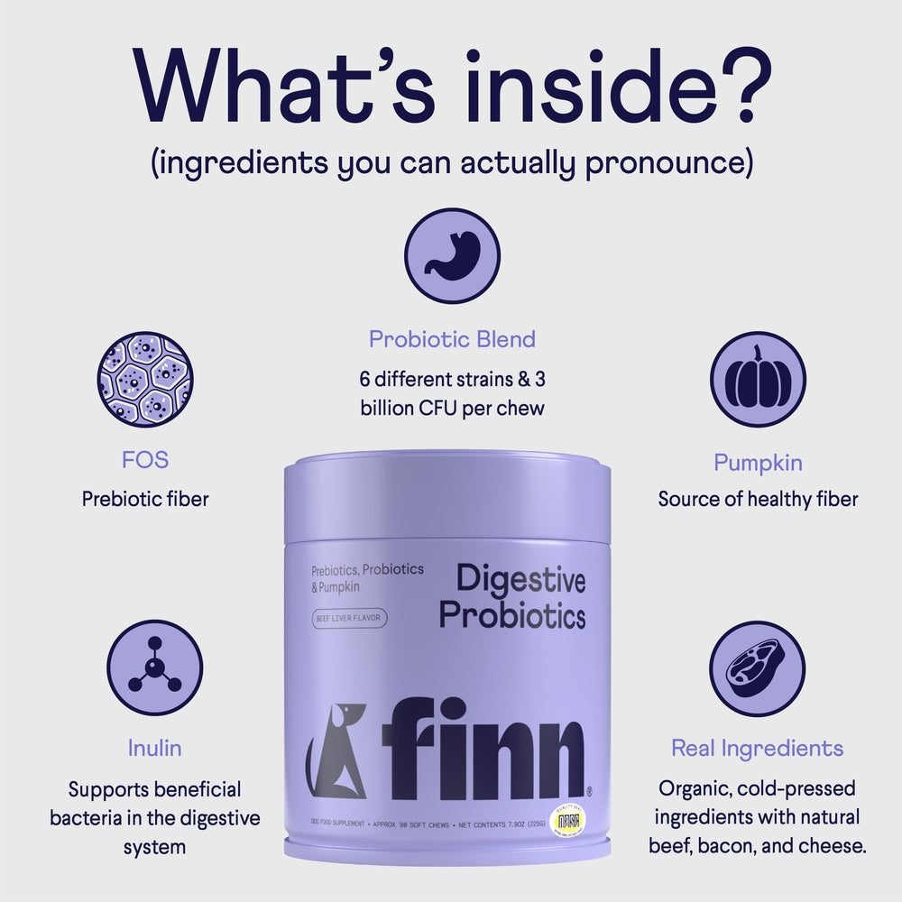 Finn Digestive Probiotics pumpkin fiber bag highlights fiber-rich ingredient for stool quality.