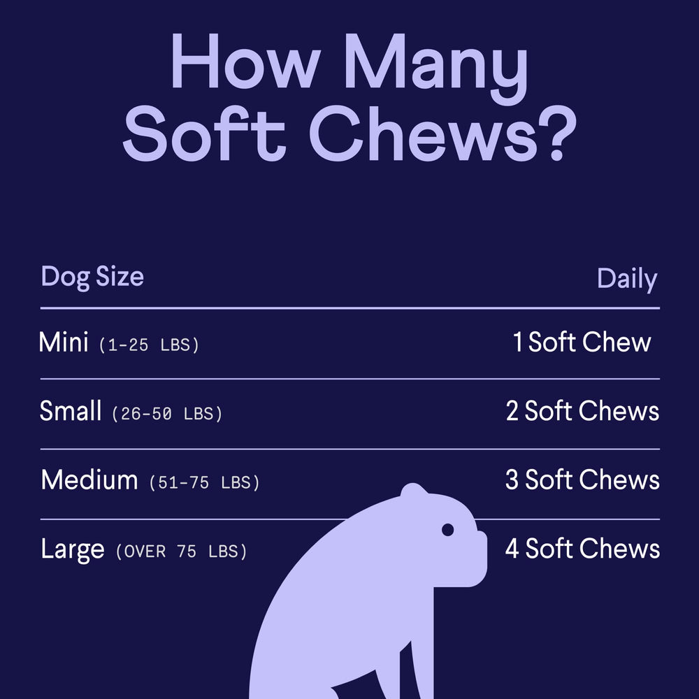 Finn Digestive Probiotics soft chews closeup reveals texture ideal for picky dogs.