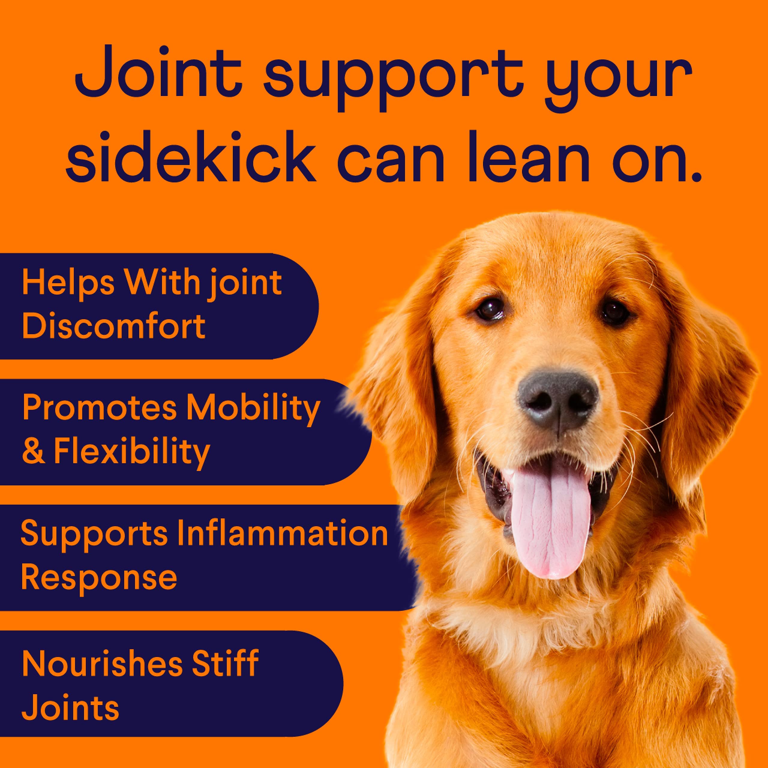 Finn dog-joint soft-chews closeup highlights a tasty daily supplement for joints