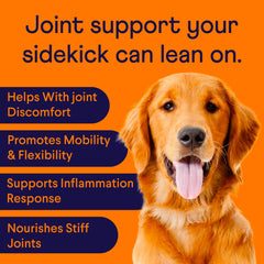 Finn dog-joint soft-chews closeup highlights a tasty daily supplement for joints