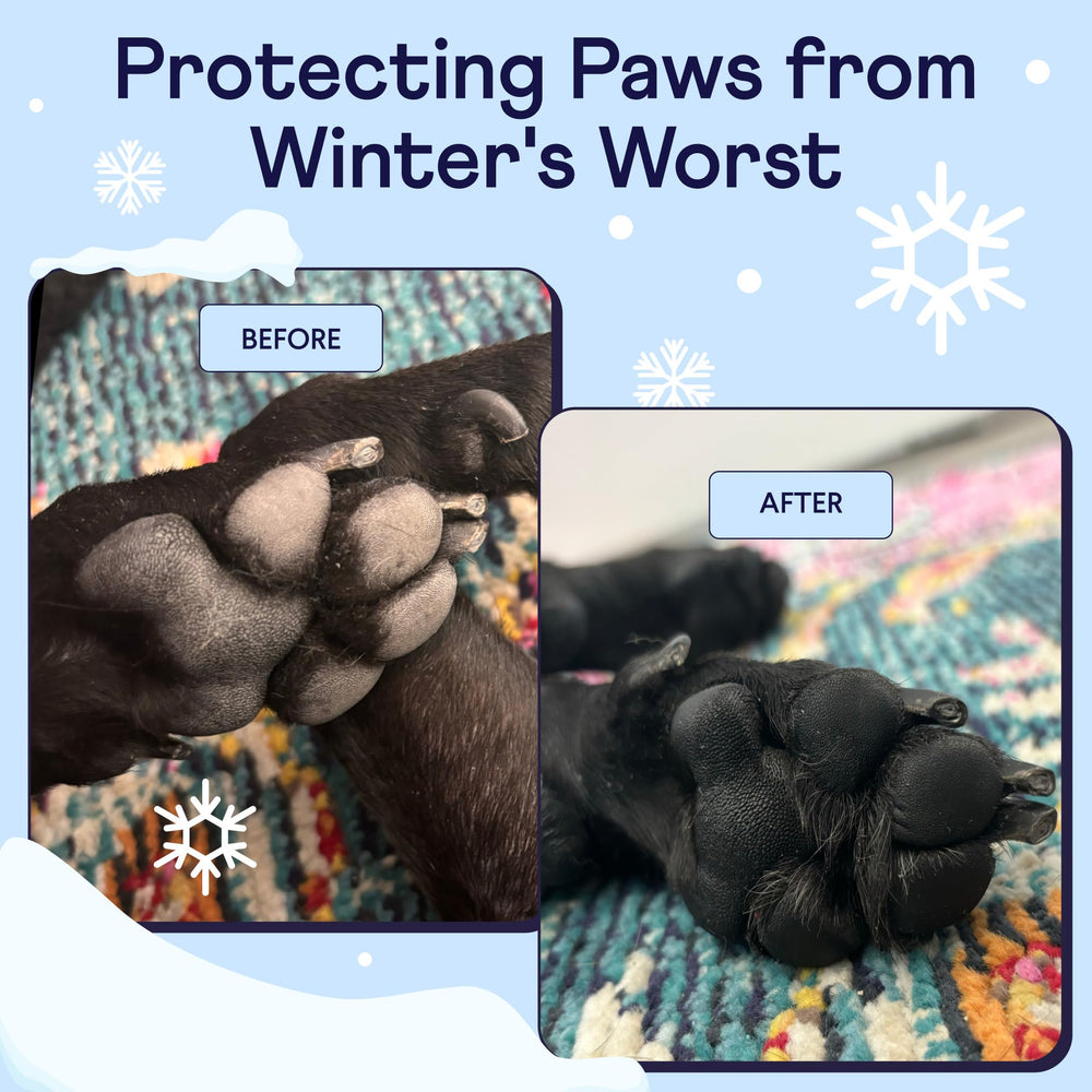 Finn Paw Hero paw application demonstrates smooth coverage for dry pads
