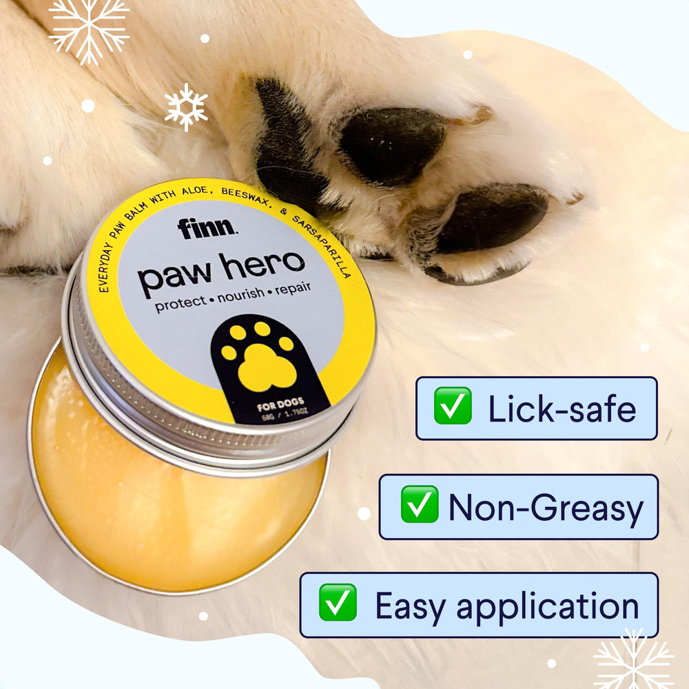 Finn Paw Hero user applying balm during a walk-time routine with dog