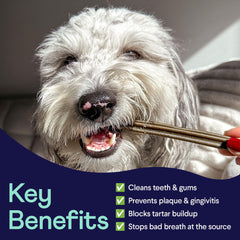 Finn Plaque Patrol dental chews ingredients reveal all-natural formula with no artificial preservatives.