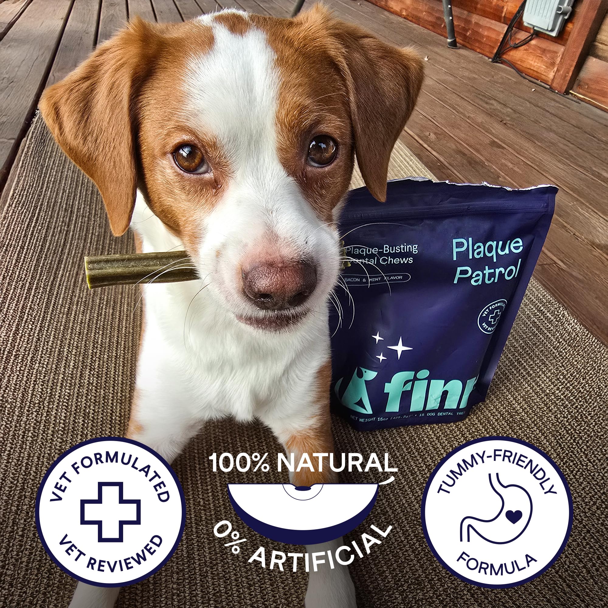 Finn Plaque Patrol chews demonstrate vet-formulated design for canine dental care.