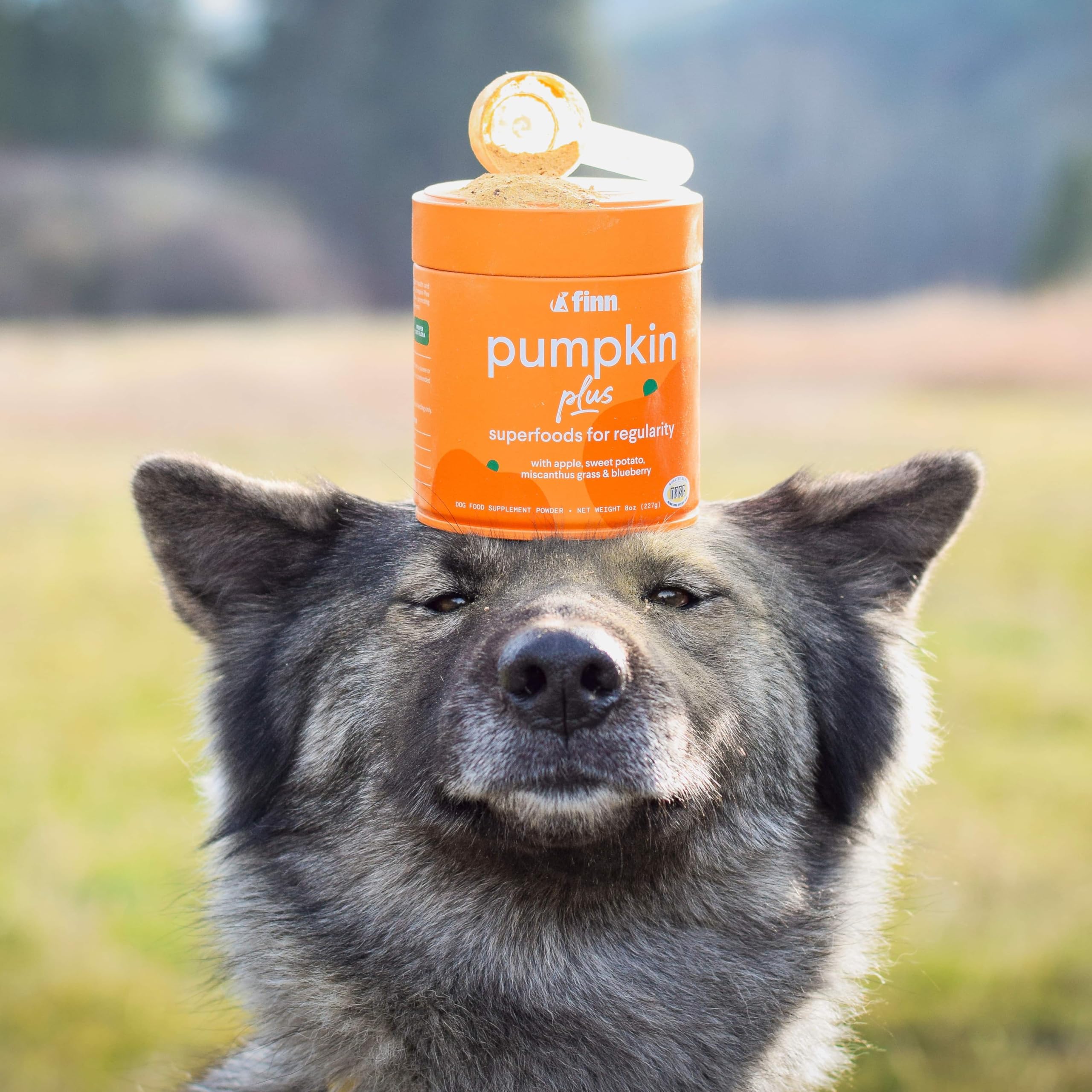 Finn Pumpkin Plus suitable for all breeds shown across life stages.