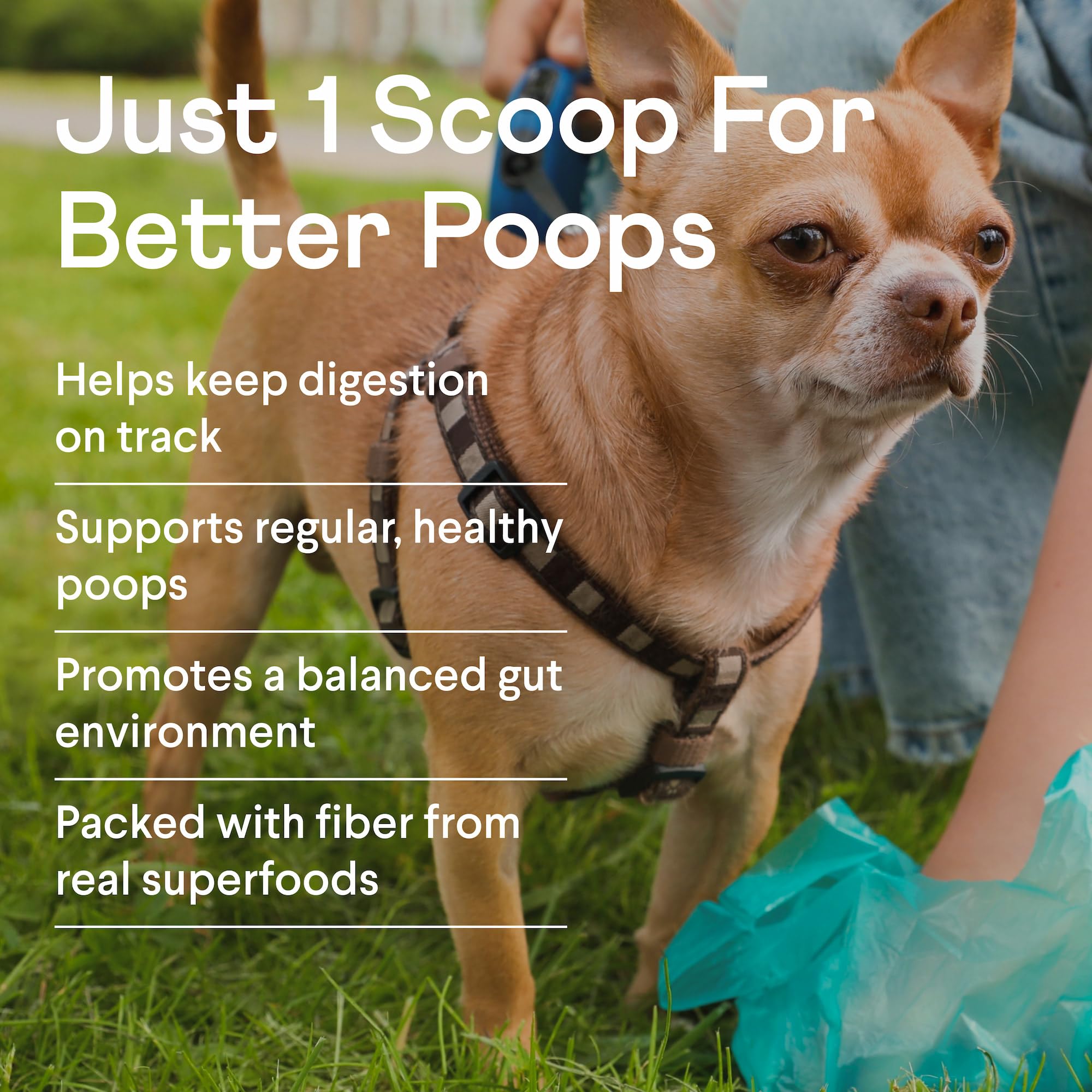 Finn Pumpkin Plus sprinkled on kibble offers easy daily digestive support.