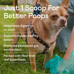 Finn Pumpkin Plus sprinkled on kibble offers easy daily digestive support.