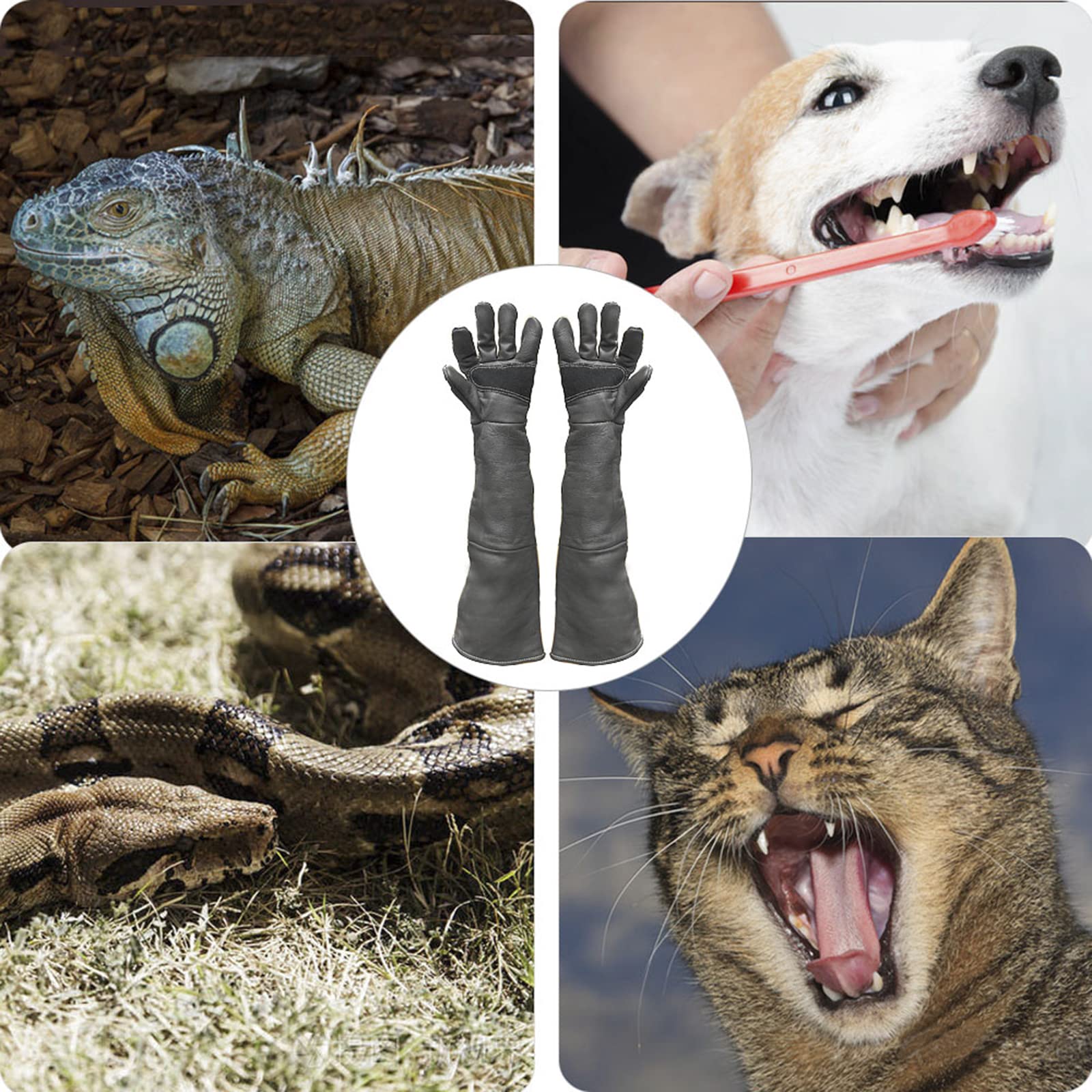 FIPASEN bite-proof glove palm provides secure grip during small-animal handling.