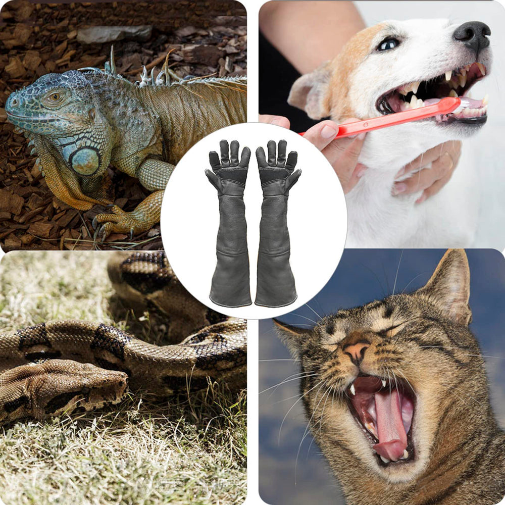 FIPASEN bite-proof glove palm provides secure grip during small-animal handling.