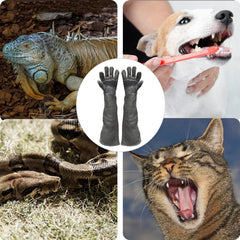 FIPASEN bite-proof glove palm provides secure grip during small-animal handling.