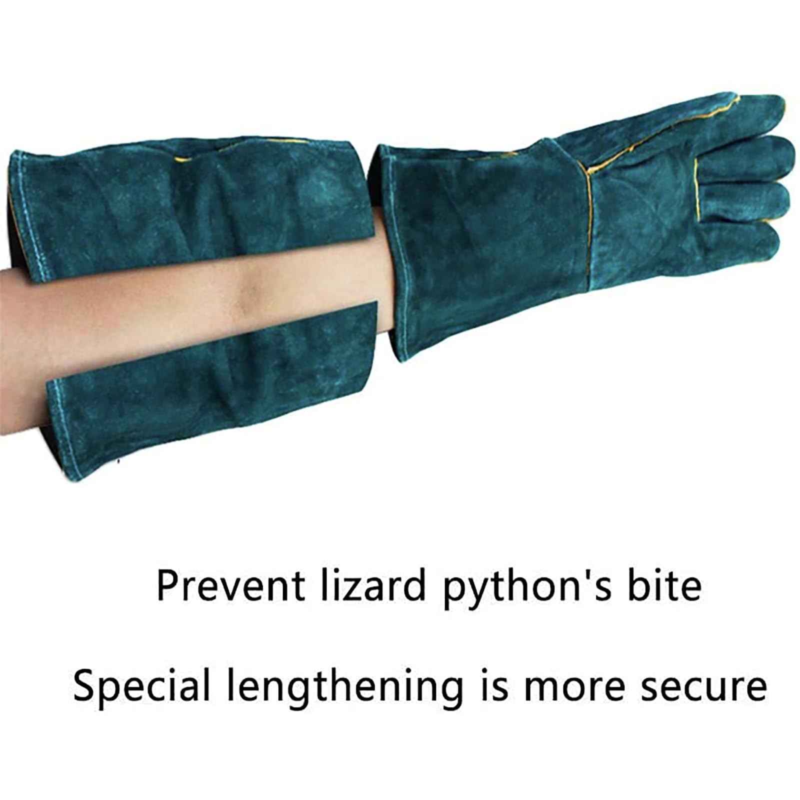 FIPASEN gloves bird handling illustrates secure hold with reduced risk.