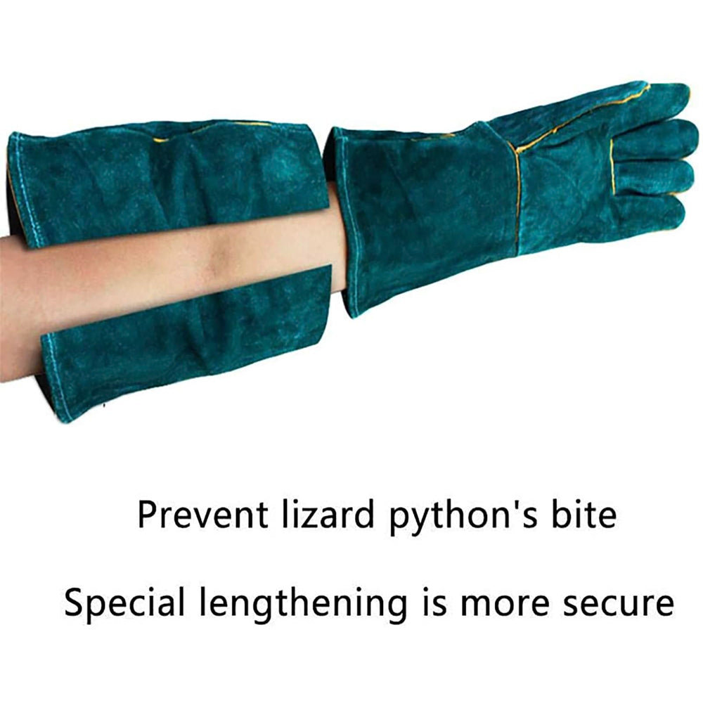 FIPASEN gloves bird handling illustrates secure hold with reduced risk.