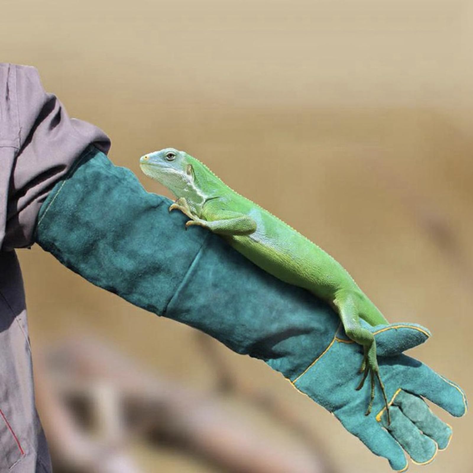 FIPASEN gloves with cotton lining emphasize softness and comfort during long wear.