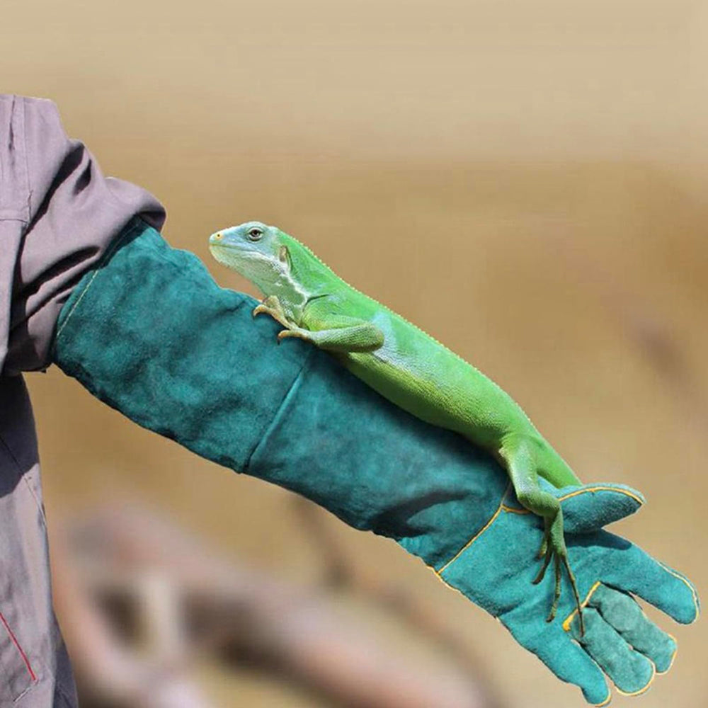 FIPASEN gloves with cotton lining emphasize softness and comfort during long wear.