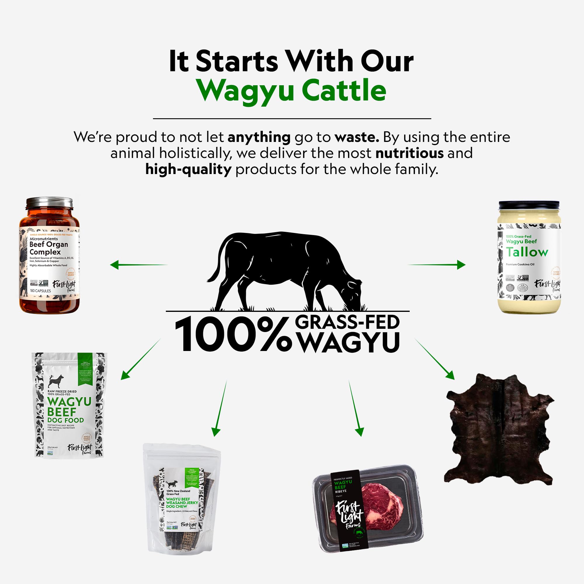 First Light Wagyu Liver Treats dog enjoying a bite-sized chew.