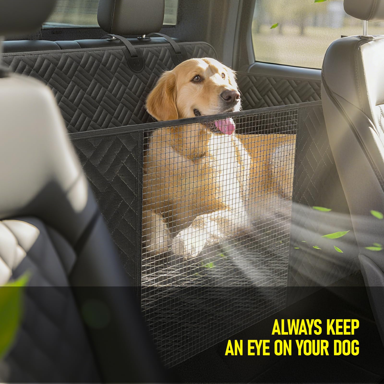 FIRSTWELL extended 40-percent-space design lets dogs stretch out comfortably