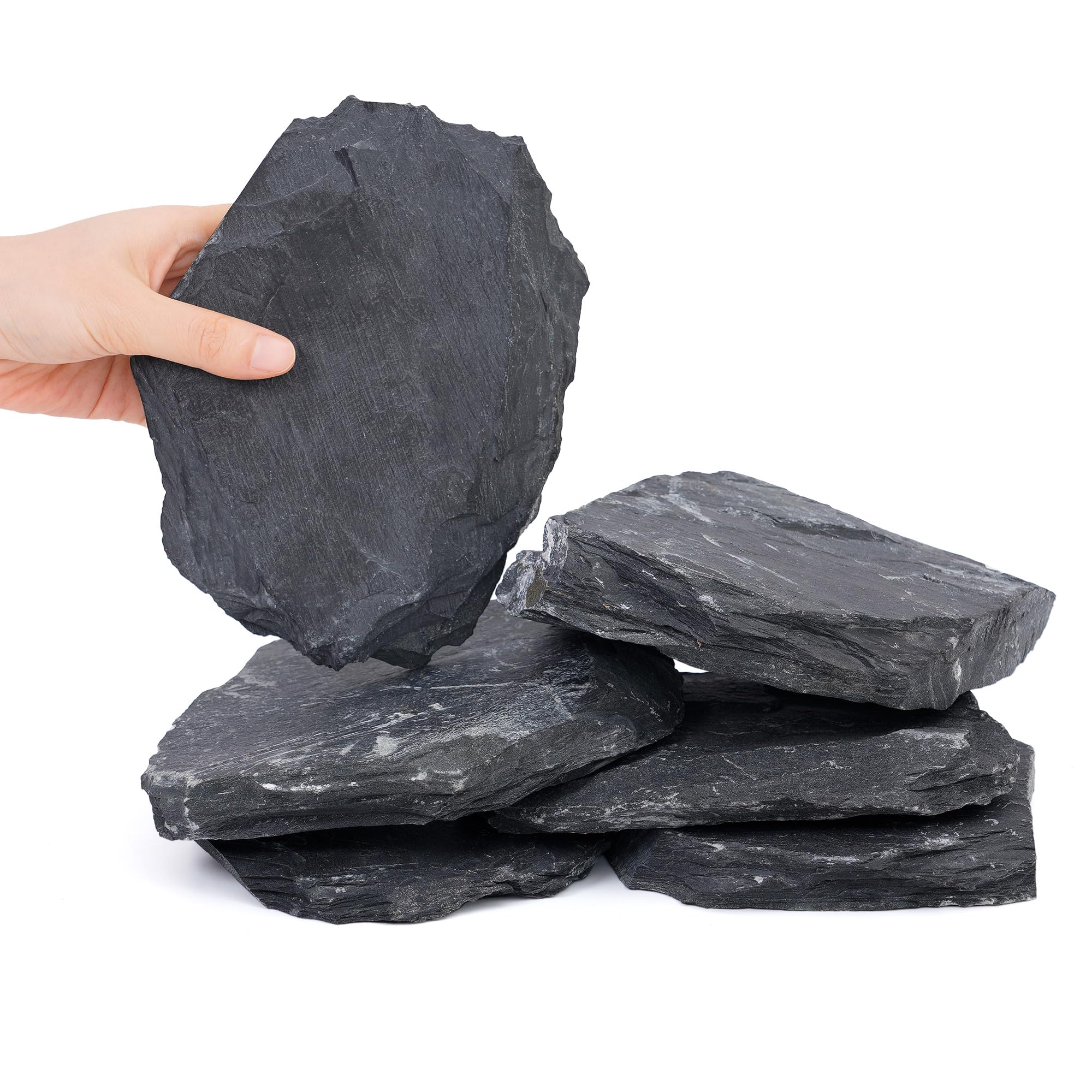 FISCAPE slate rocks enhance amphibian enclosures with natural backdrop.