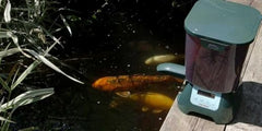 Fish Mate P7000 large capacity hopper holds up to 7 litres