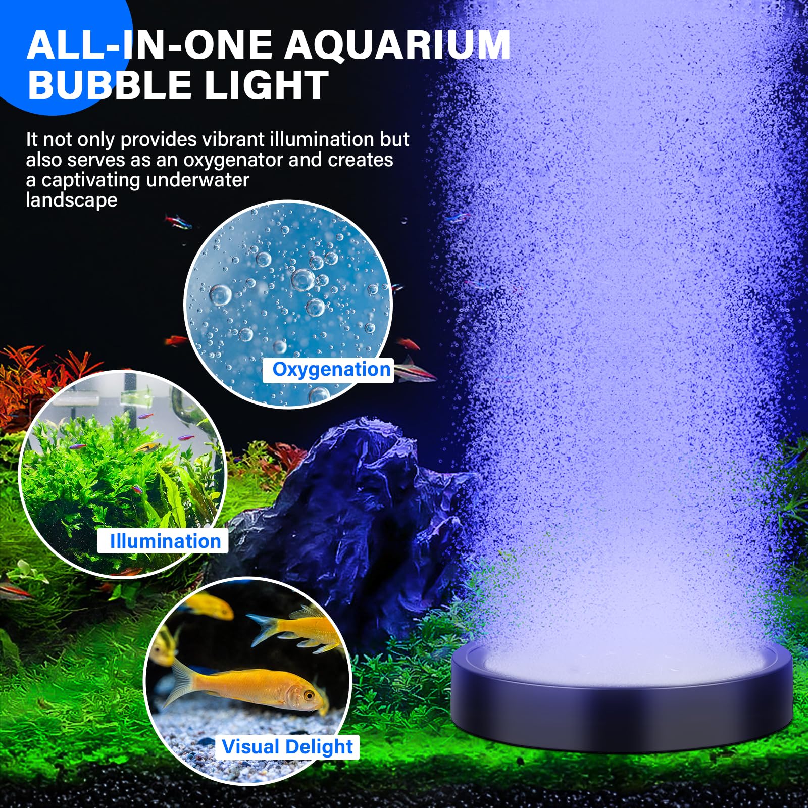 Fishkeeper aquarium bubble-light mode rainbow-flash creates dazzling underwater effects.