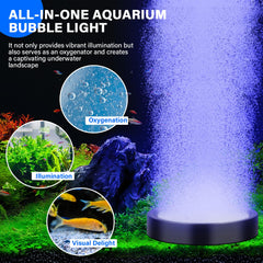 Fishkeeper aquarium bubble-light mode rainbow-flash creates dazzling underwater effects.