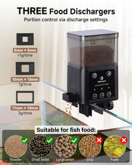 fishkeeper automatic feeder three portion sizes for different fish and tank mates