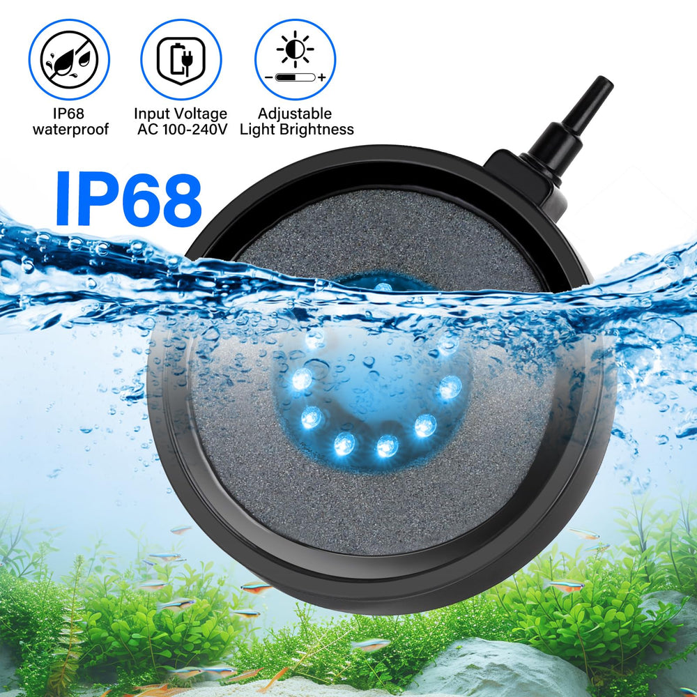 Fishkeeper full-spectrum bubble light mirrors sunlight, supporting plant color and fish vitality.