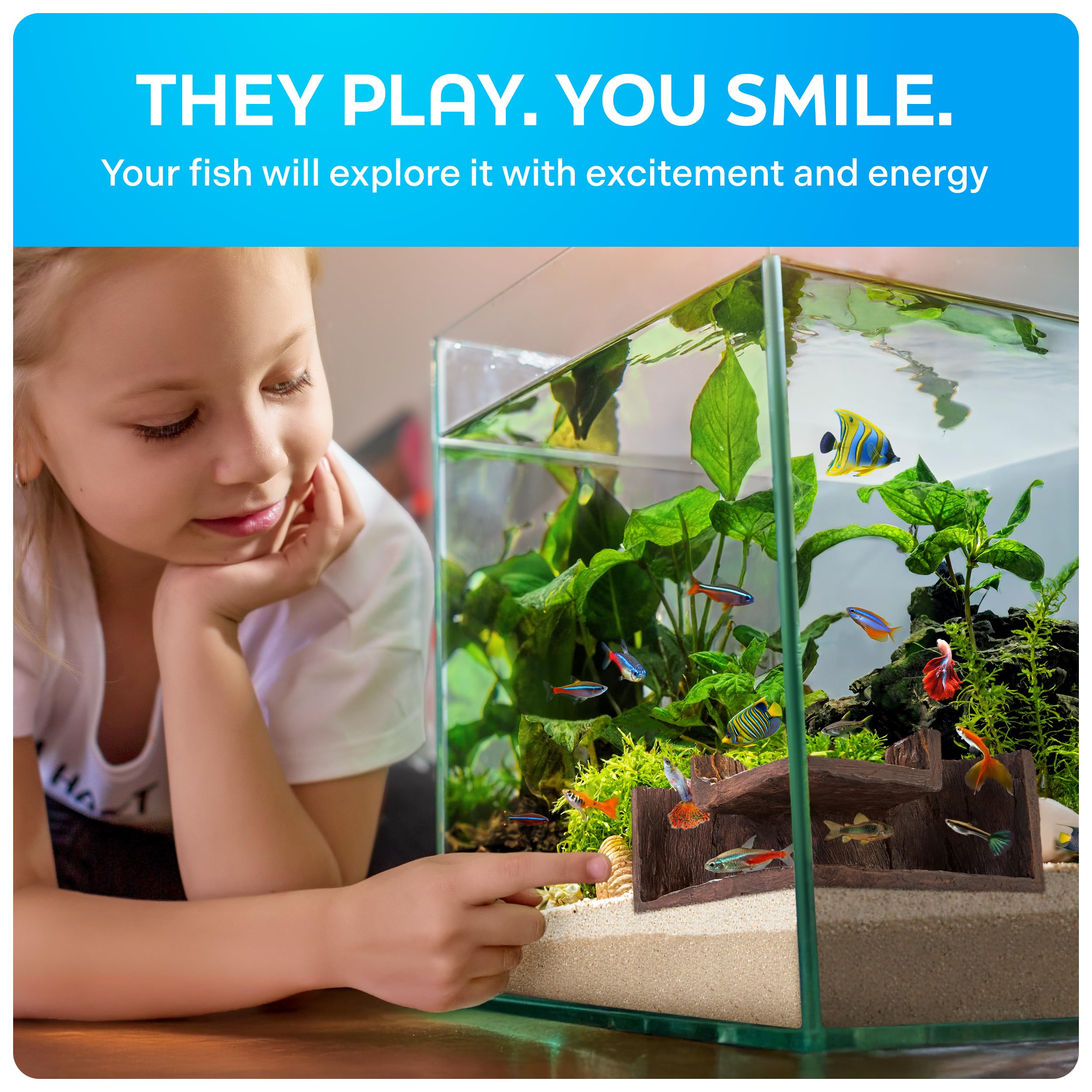 FISHNOSH Aquarium Cave safe retreat supports fish comfort and bully avoidance.