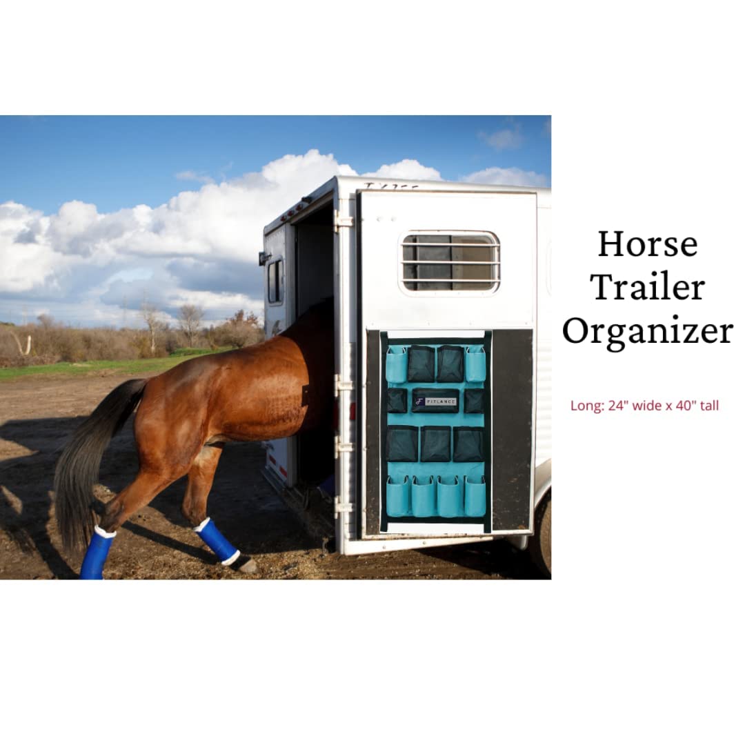 FITLANCE teal organizer adds versatile storage for grooming supplies.