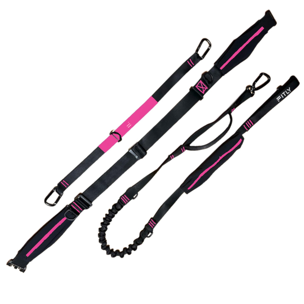 FITLY dog-running-waist-belt side view highlights secure fit during sprints.