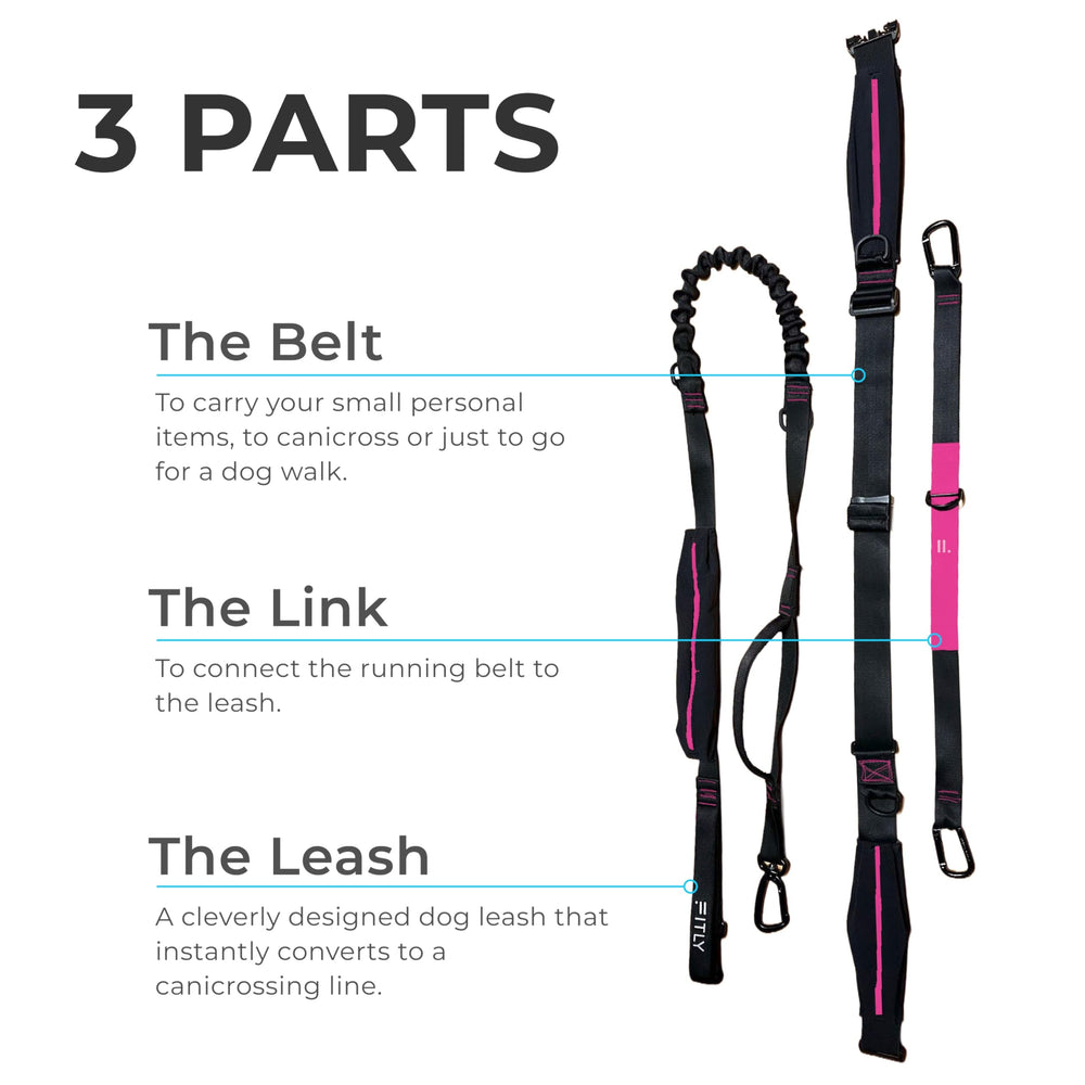 FITLY durable carabiners and d-rings illustrate strong hardware for secure attachment.