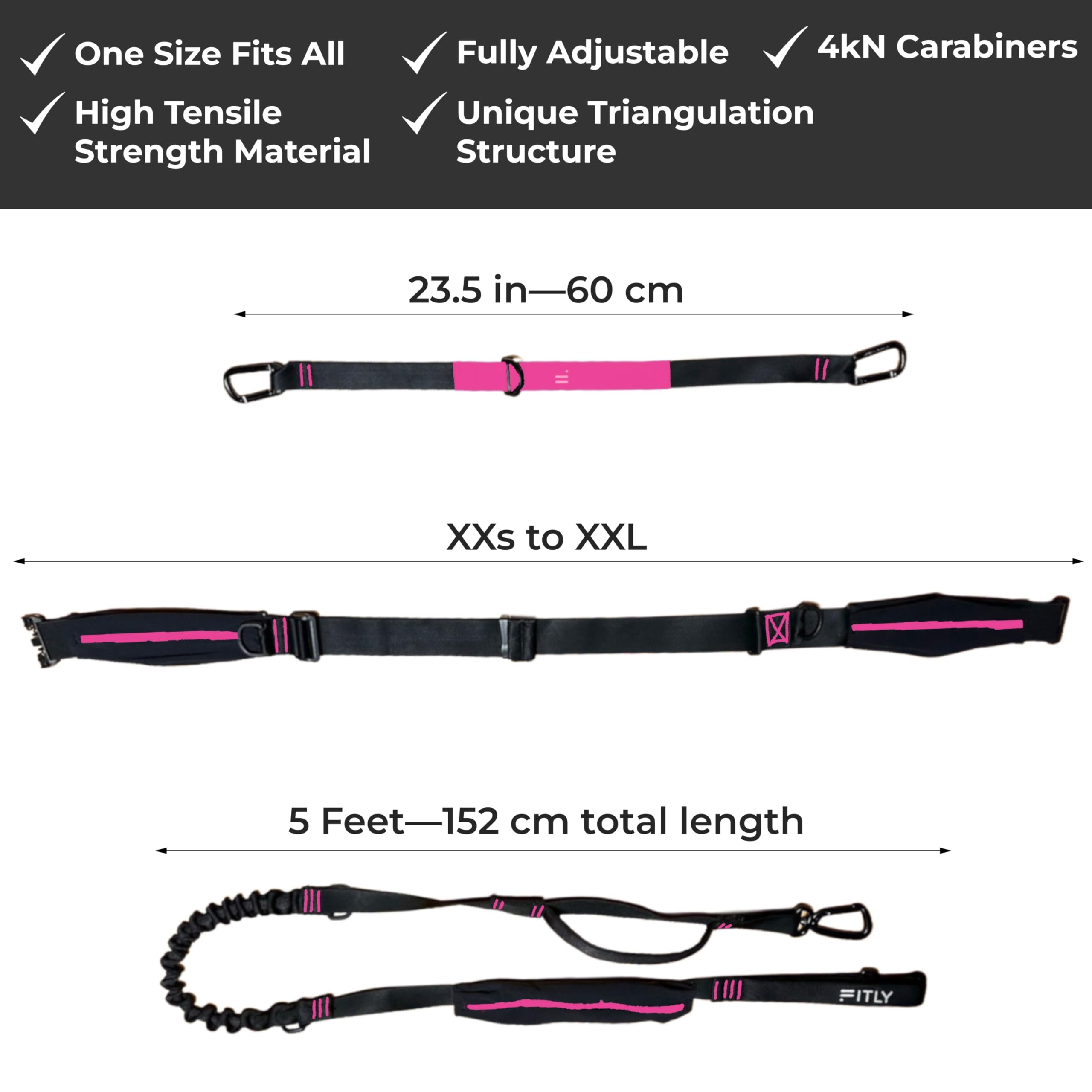 FITLY second dog attachment capability enables versatile canicross setups.