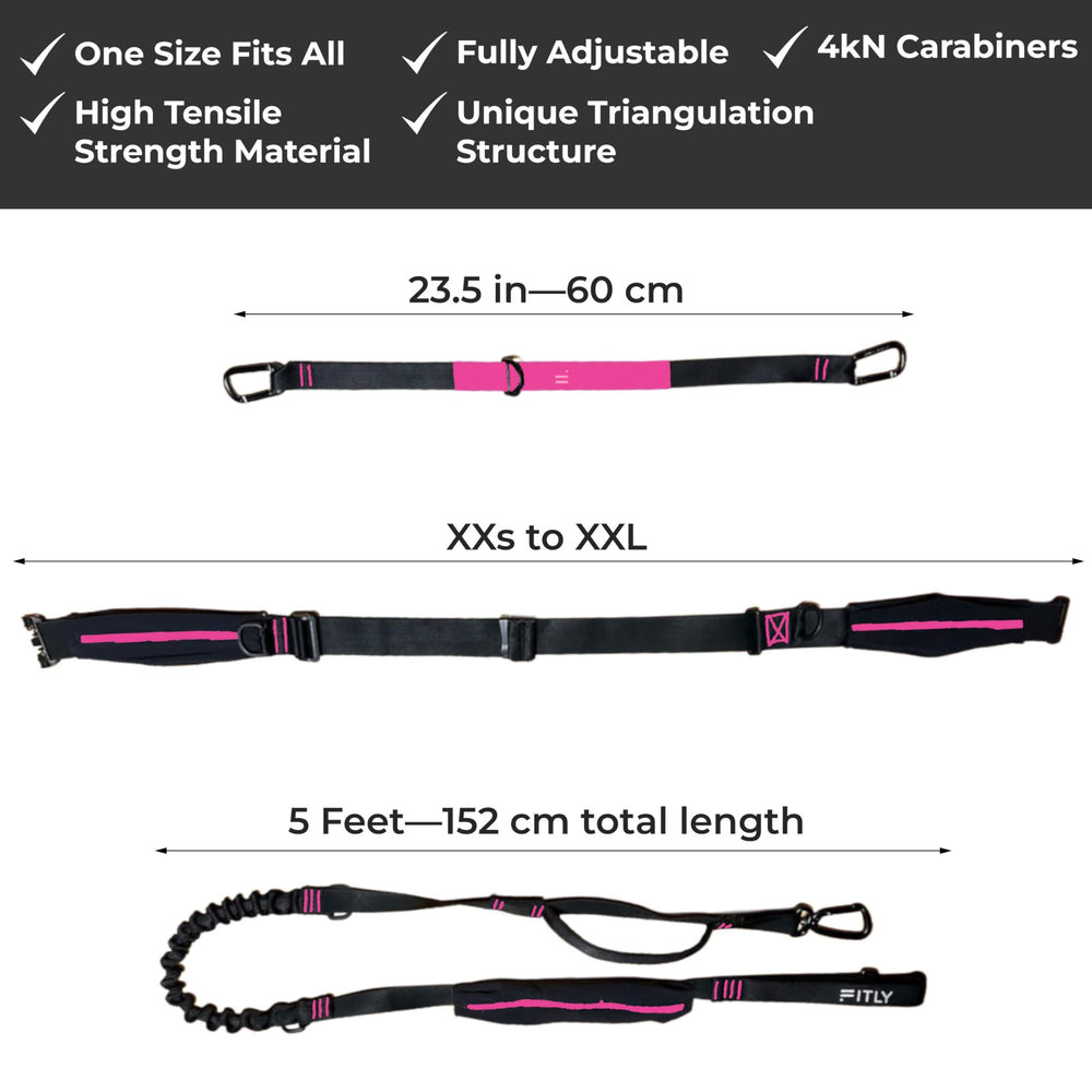 FITLY second dog attachment capability enables versatile canicross setups.
