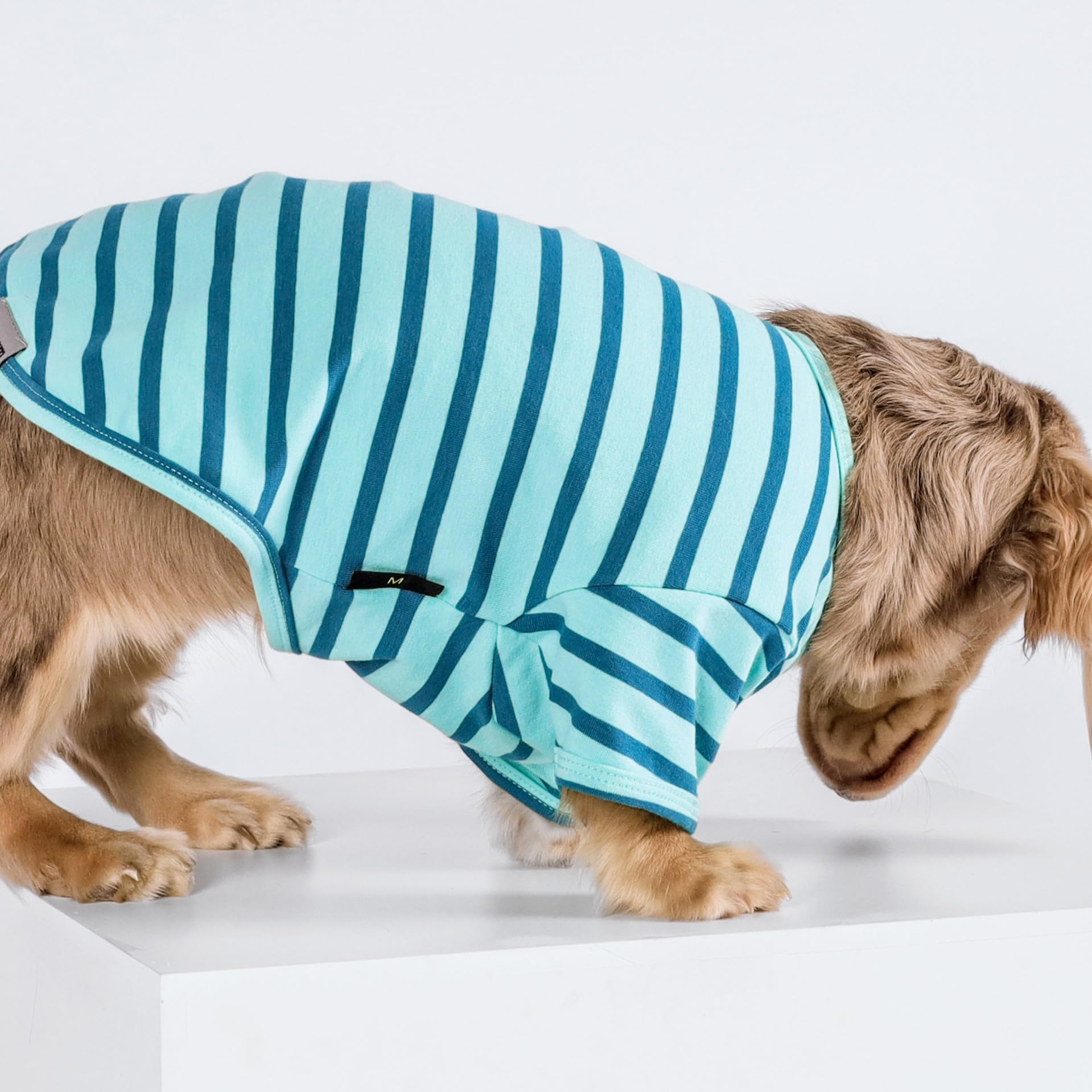 Fitwarm color block striped dog shirt back view showcasing versatile daily wear