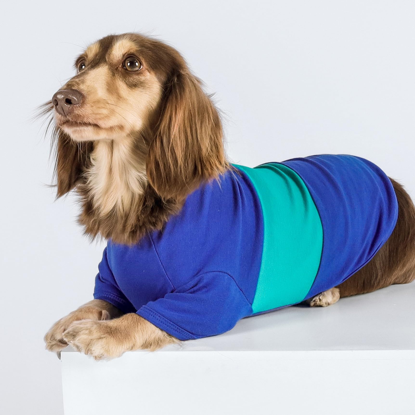 Fitwarm color block striped dog shirt side view highlighting lightweight movement
