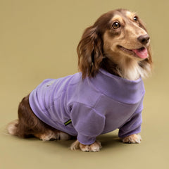 Fitwarm 3 Pack Classic Fleece Dog Sweater back view multi colors for daily wear