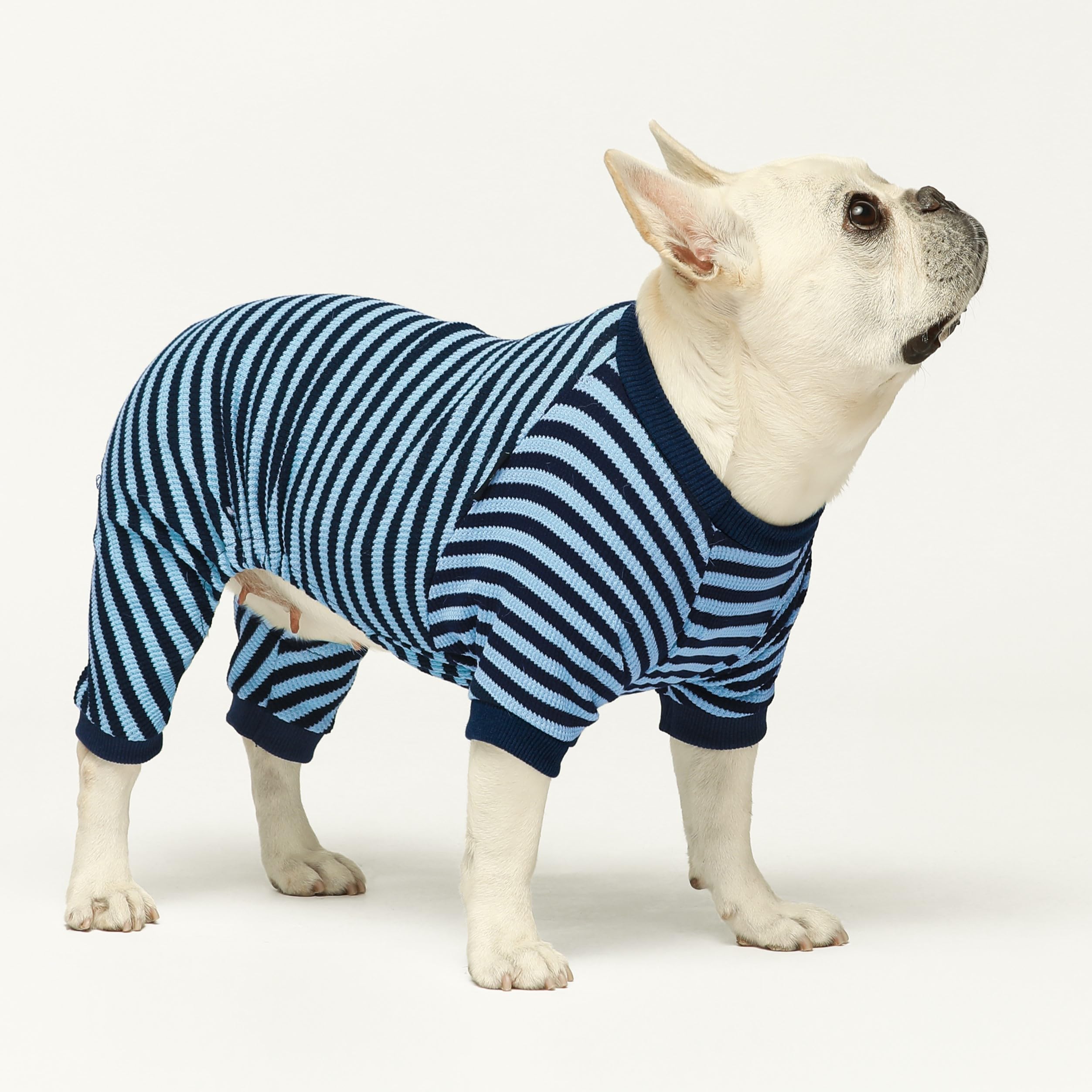 Fitwarm blue striped dog pajamas feet-on onesie on small dog