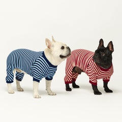 Fitwarm blue striped dog pajamas on dog during a walk