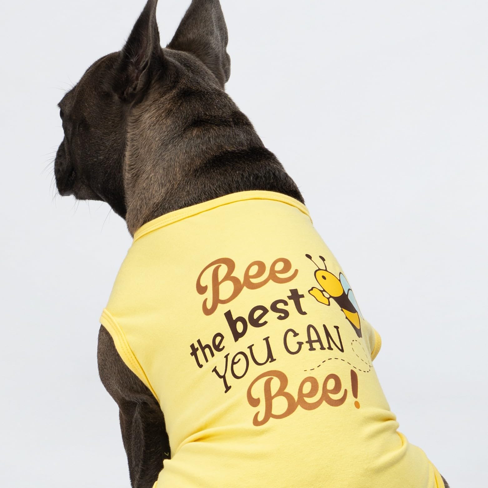 Camiseta Fitwarm para perro con abeja impresa, aspecto alegre para sesiones de fotos