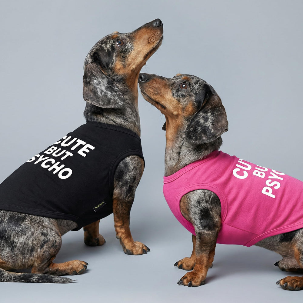 Fitwarm camiseta para perro espalda, look llamativo para salidas al parque