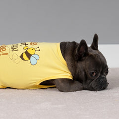 Fitwarm camiseta para perro con diseño frontal, estilo casual para salidas diarias