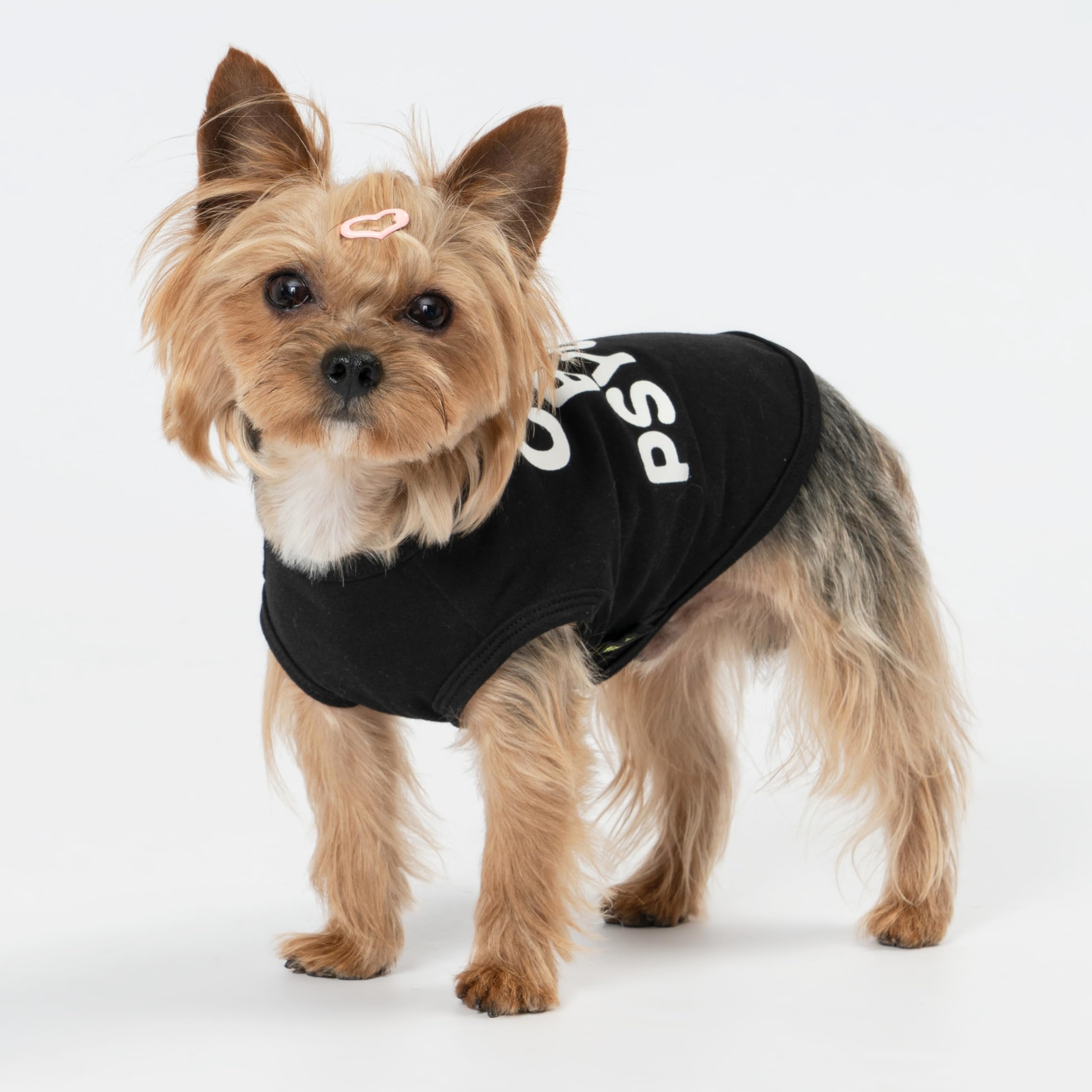 Fitwarm camiseta para perro linda pero loca con bordado gráfico distintivo, toque único.