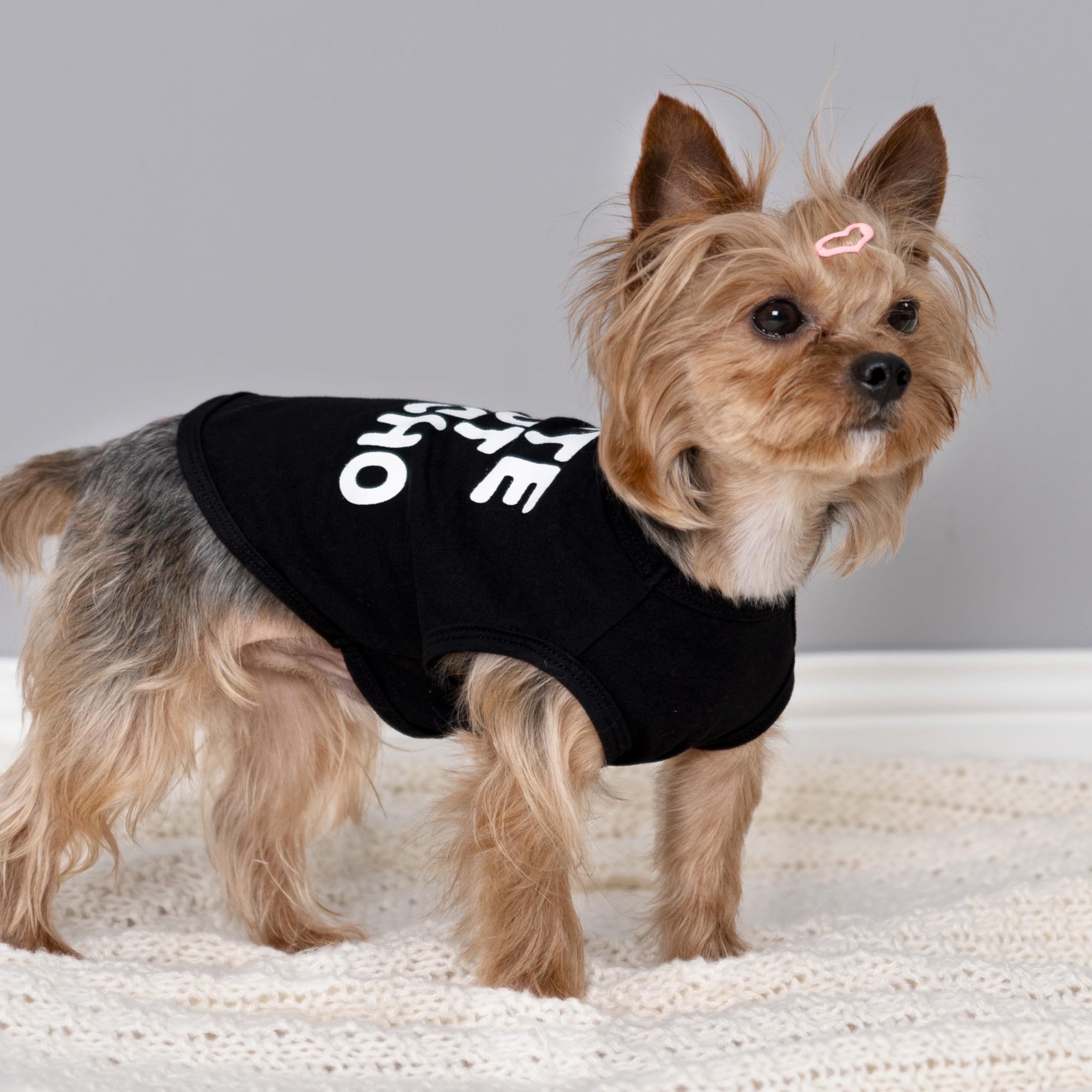 Fitwarm camiseta para perro linda pero loca con texto blanco sobre negro, llamativa.