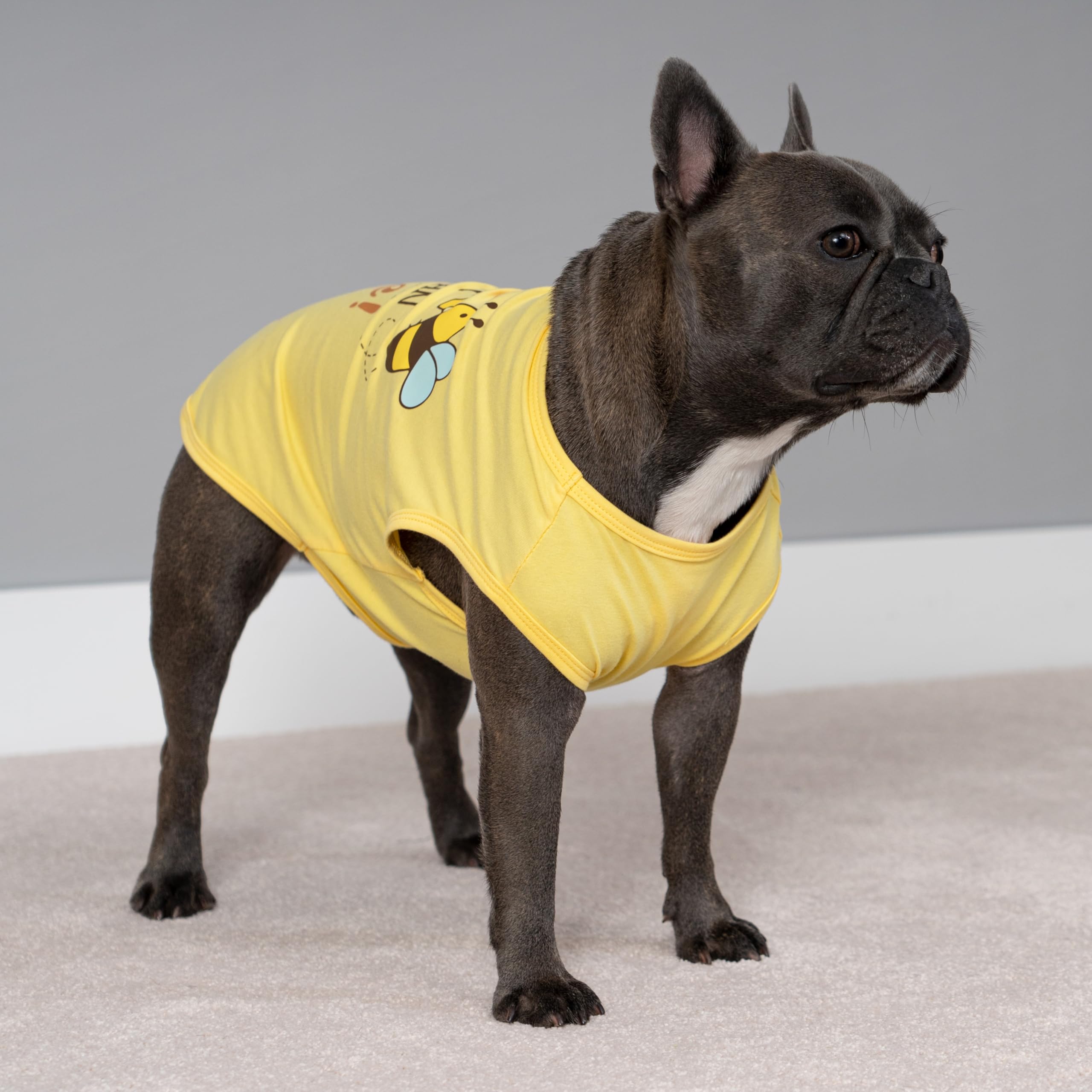 Fitwarm camiseta para perro sin mangas, diseño ligero para libertad de movimiento
