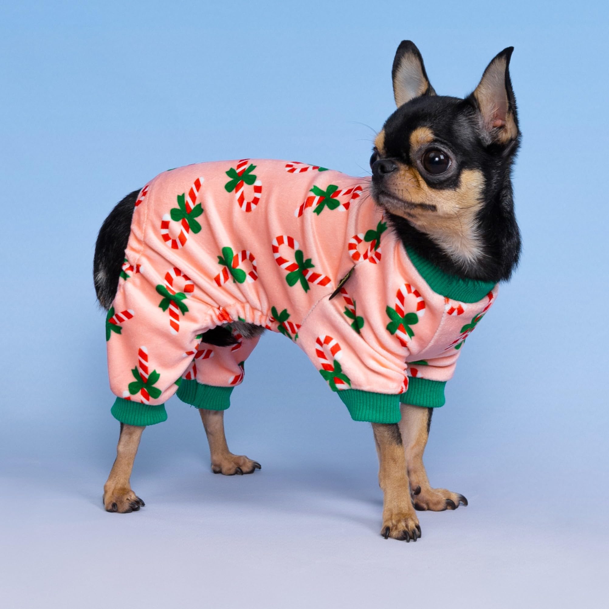Fitwarm Candy Cane Dog Pajamas back view demonstrates four-leg coverage for secure wear.
