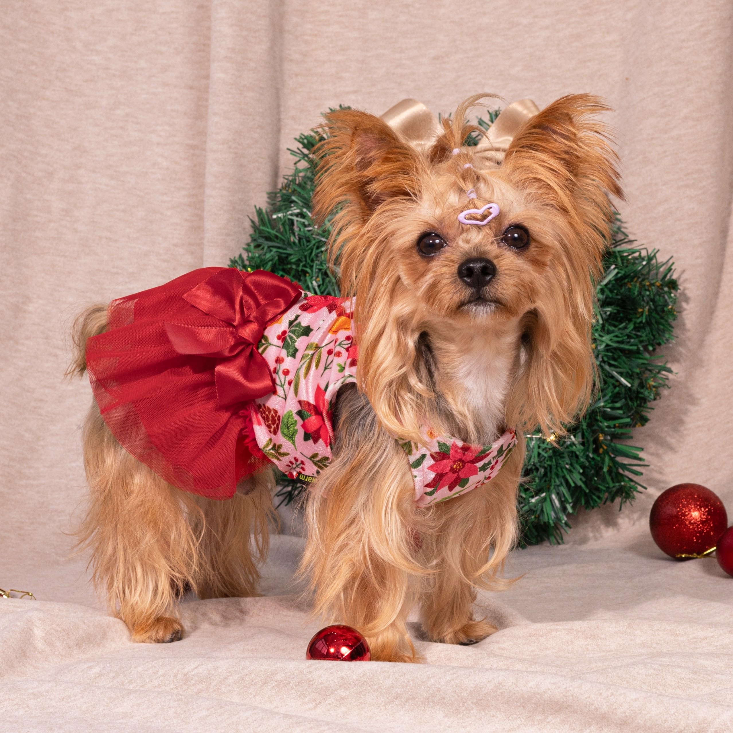 Fitwarm Christmas flowers design, dog dress back view, festive party-ready look.