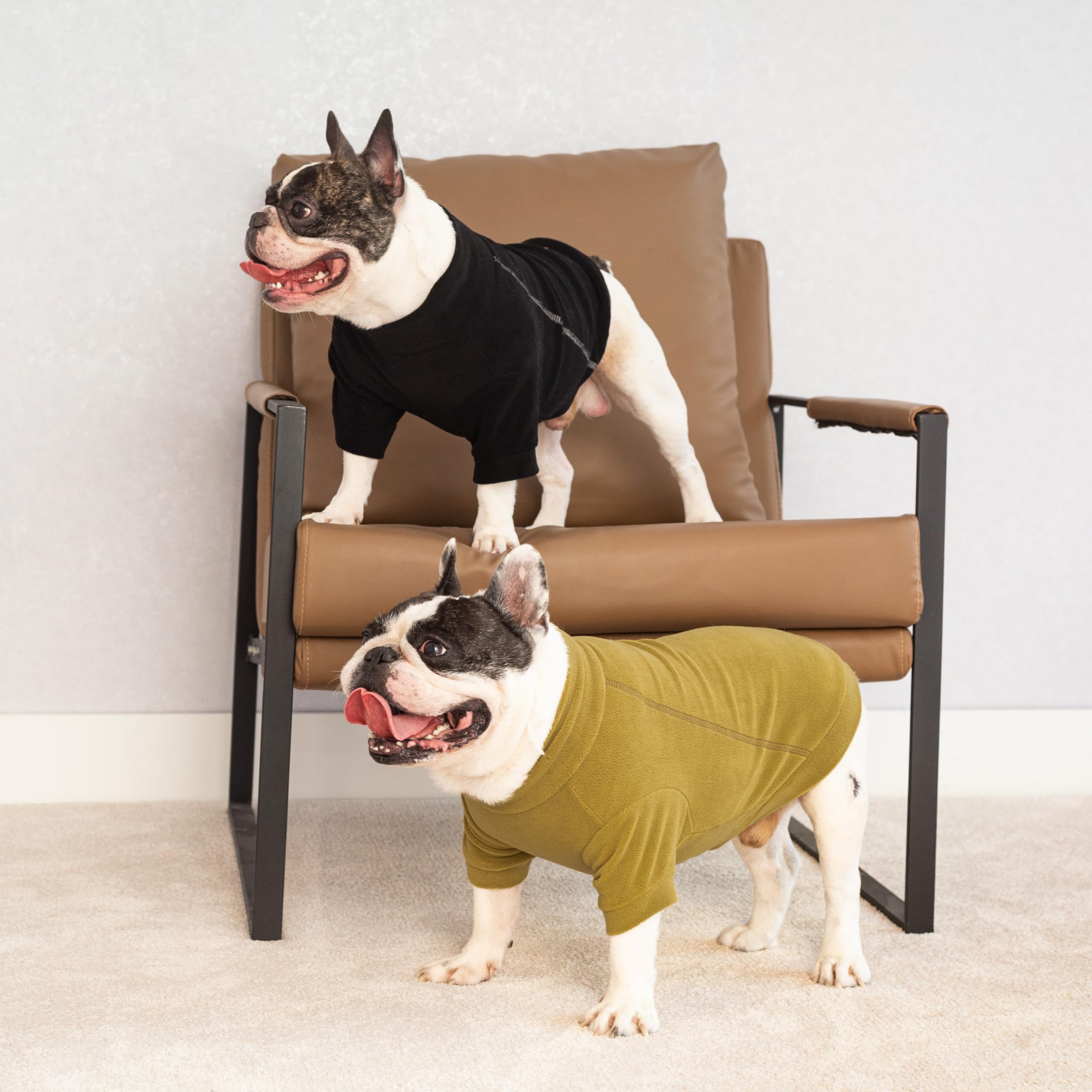 Fitwarm Classic Fleece Dog Sweater on a dog walking outdoors; practical warmth.
