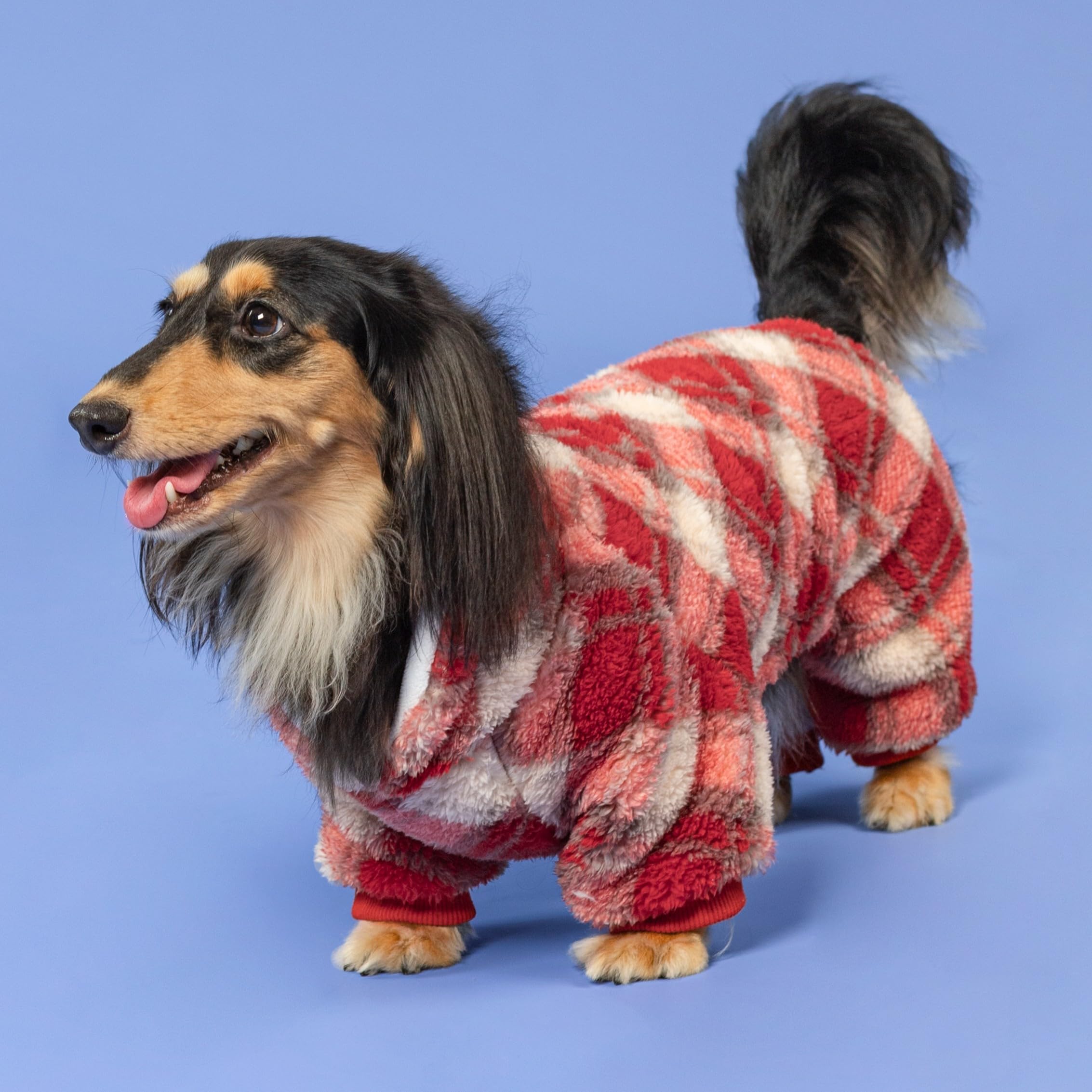 Fitwarm collared neck plaid dog pajamas winter-walk ready during chilly mornings