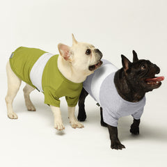 Fitwarm color-block striped dog shirt black offers stylish summer wear