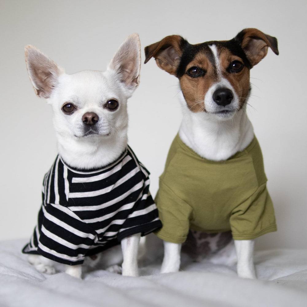 Fitwarm color-block striped dog shirt grey keeps small dogs cool during walks