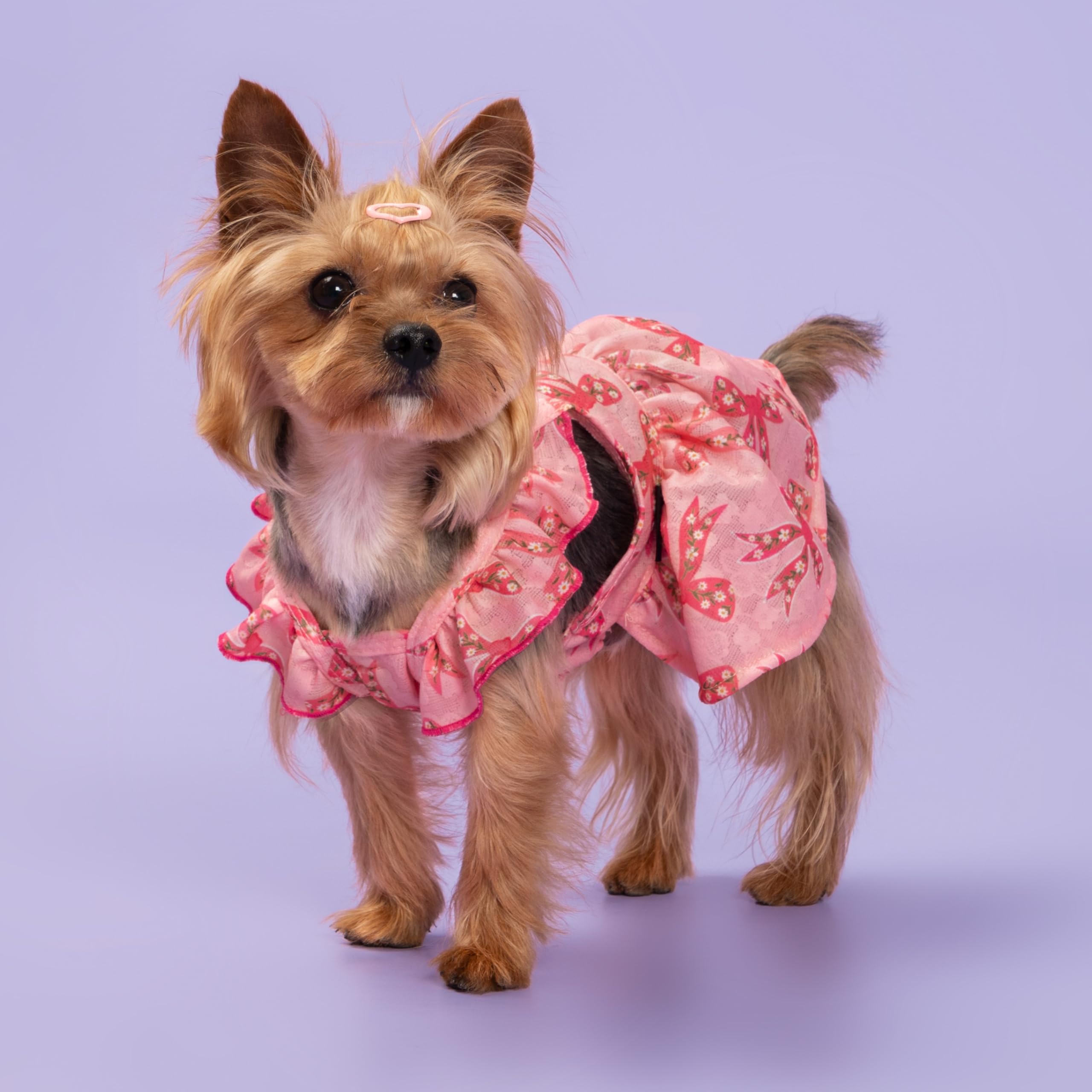 Fitwarm pink bowknot dress for small dogs; perfect for daily outings and photos.